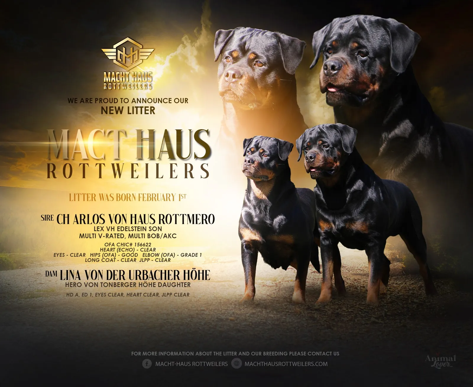 Litter announcement banner for Arlos Von Haus Rottmero × Lina Von Der Urbacher Hohe.