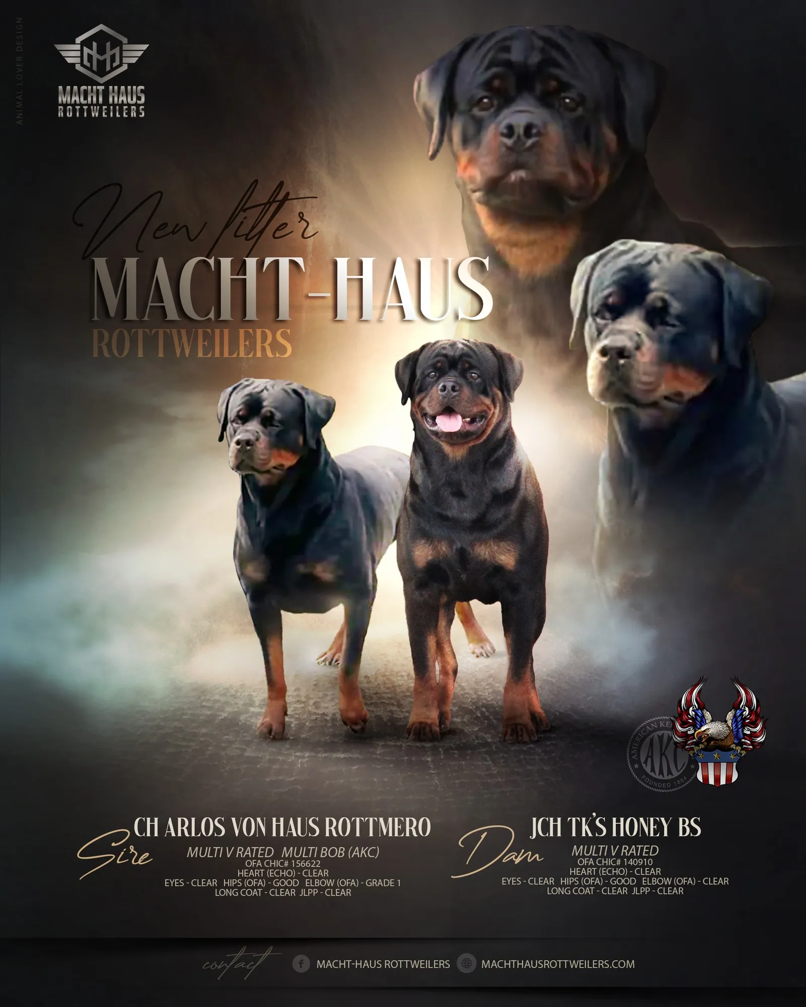 Litter announcement banner for Arlos Von Haus Rottmero × TK's Honey.
