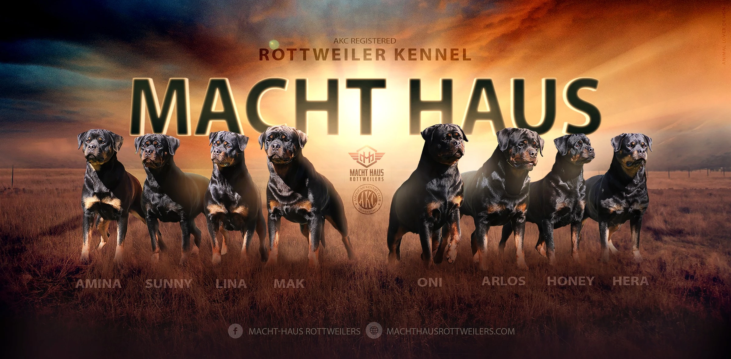 Macht Haus Rottweilers — Amina, Sunny, Lina, Mak, Oni, Arlos, Honey and Hera