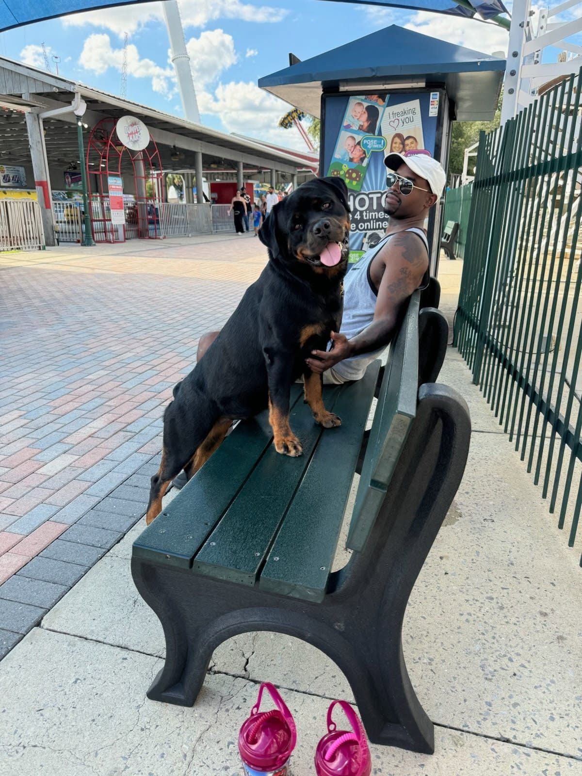 Journey sitting up on a park bench beside her owner at an amusement park, a bumper-car pavilion behind them