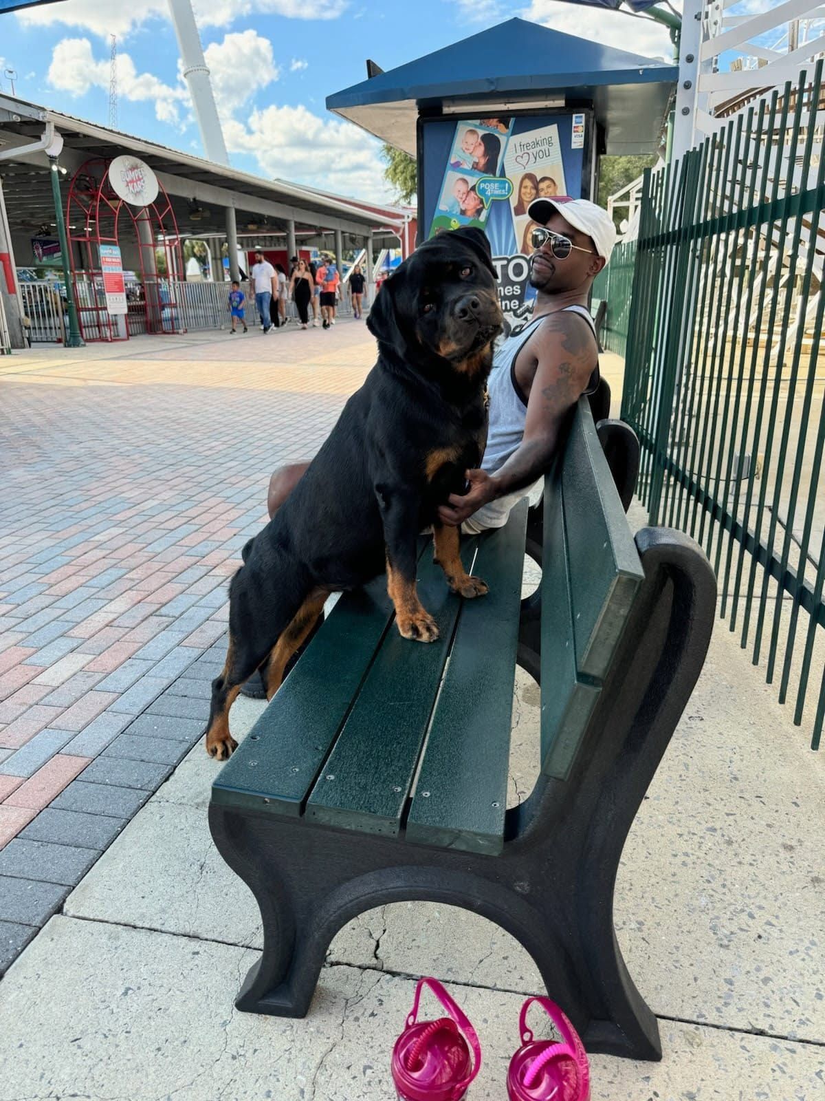 Journey on the amusement-park bench with her owner, looking up toward him