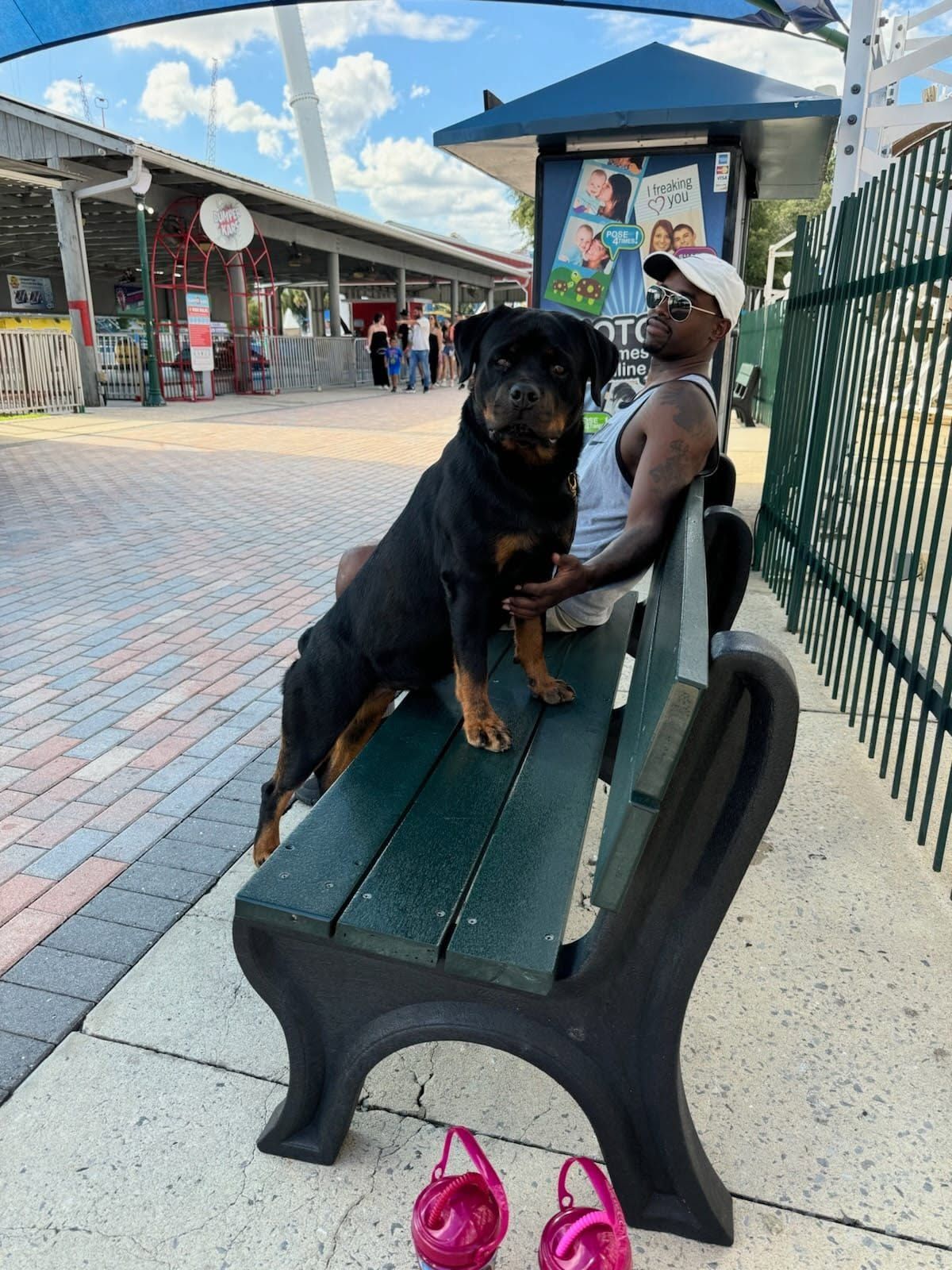 CH Macht Haus Find Me On My Journey, black and mahogany Rottweiler female
