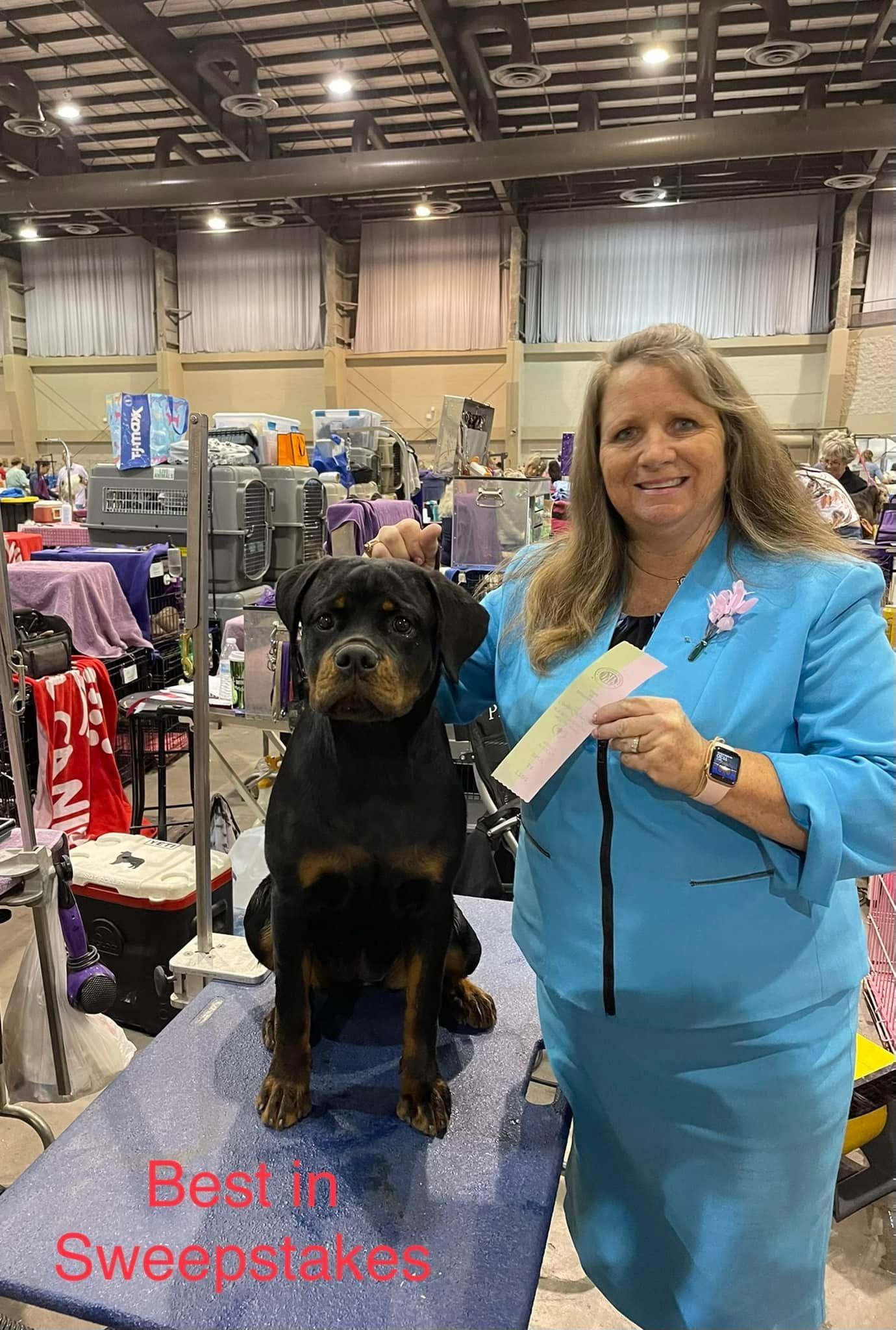 Truth sitting on a grooming table at an indoor show while a club representative in a blue suit holds her Best in Sweepstakes ribbon