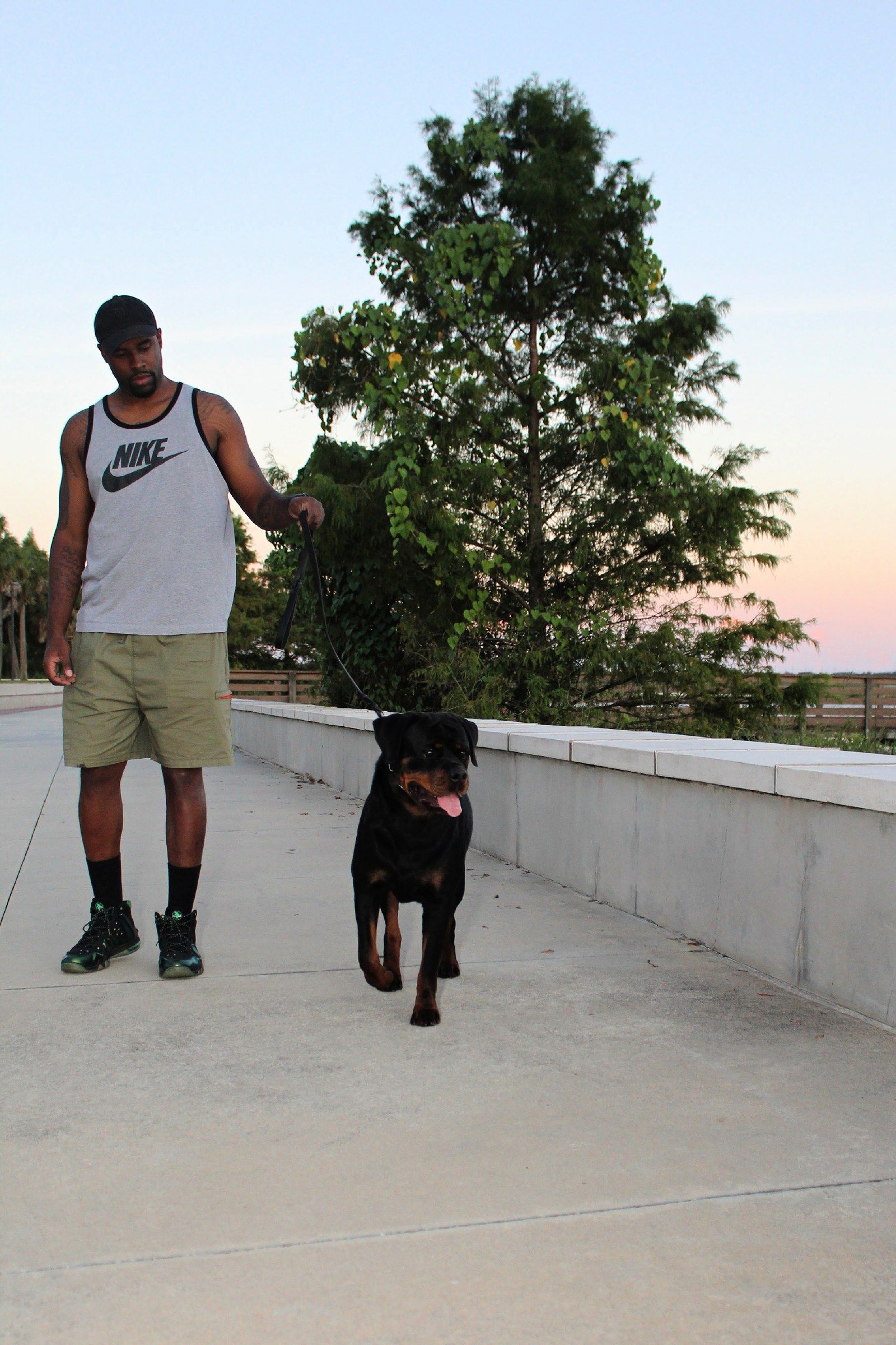 Sunny walking on lead beside her owner along a waterfront path at dusk, a tall cypress and a pink sunset behind them
