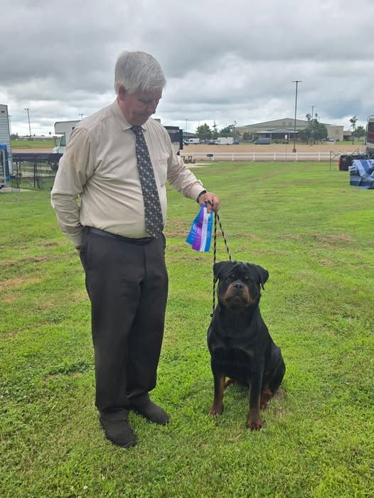 Bullet sitting at his handler's side on the grass at an outdoor show, a rosette in the handler's hand
