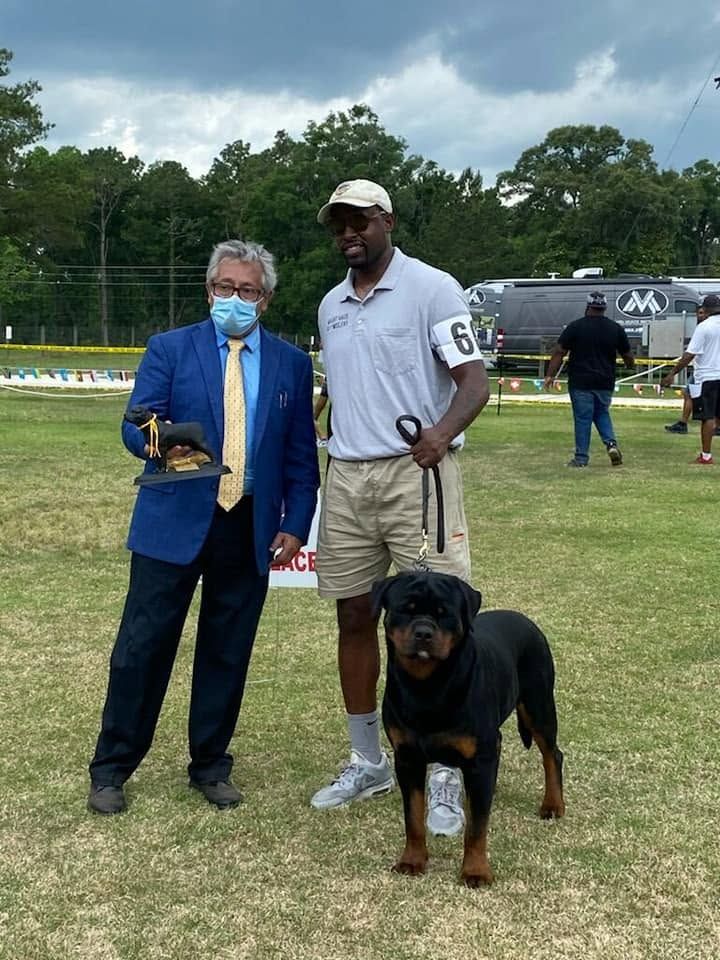 Mad Boy standing on lead beside his handler and the judge at an outdoor show, the judge holding a trophy