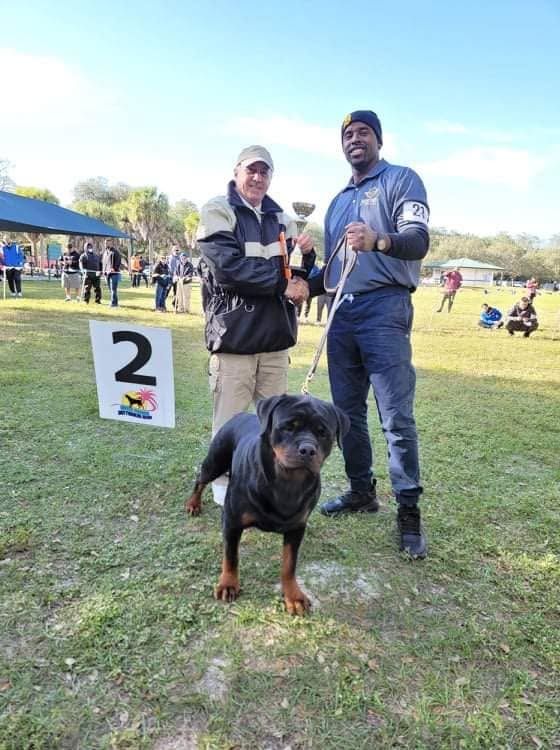 Mad Boy standing on lead beside his handler and the judge at an outdoor Rottweiler club show, a second-place sign beside them