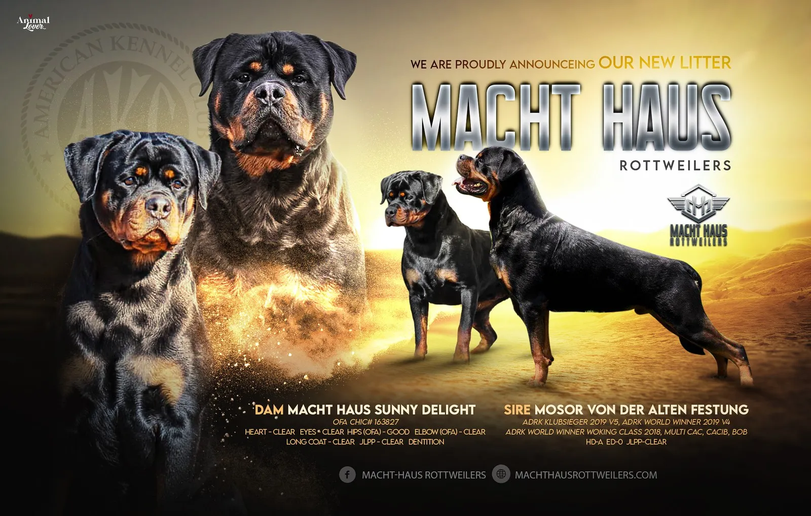Litter announcement banner for Mosor Von Der Alten Festung × Macht Haus Sunny Delight.