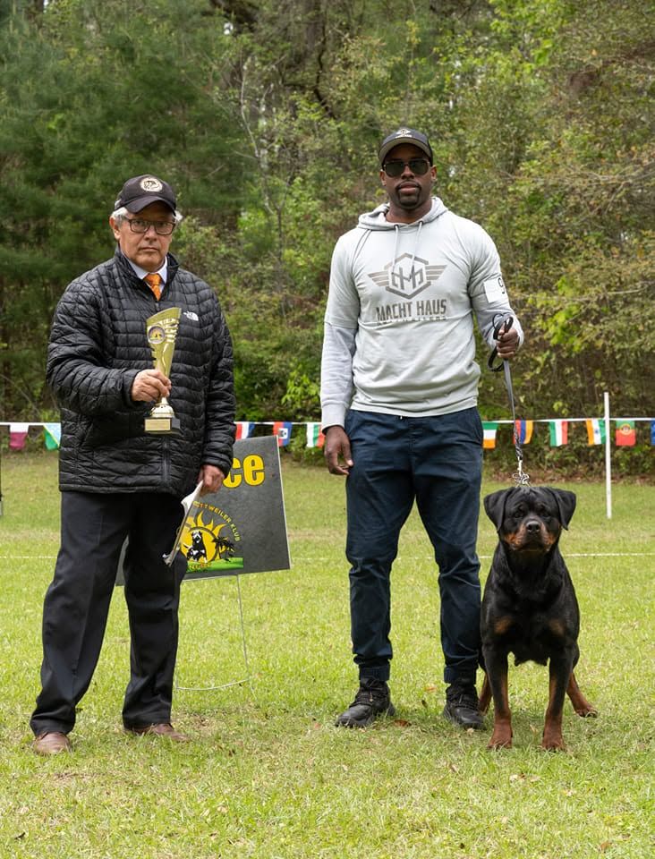 Honey stacked on lead beside her handler and the judge at an outdoor Rottweiler club show, the judge holding a placement trophy