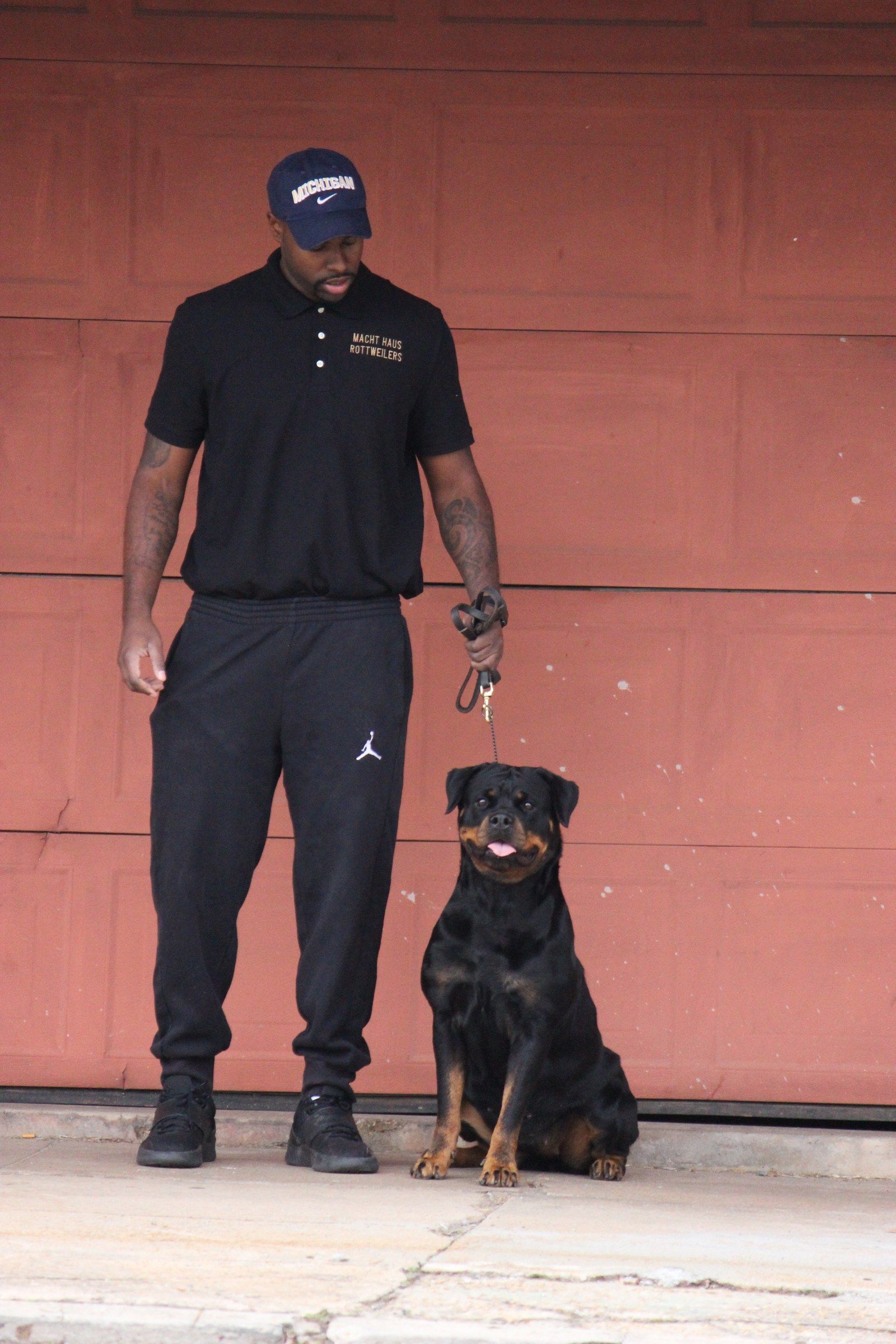 Hera sitting at heel beside her handler in a Macht Haus Rottweilers polo, against a red garage door