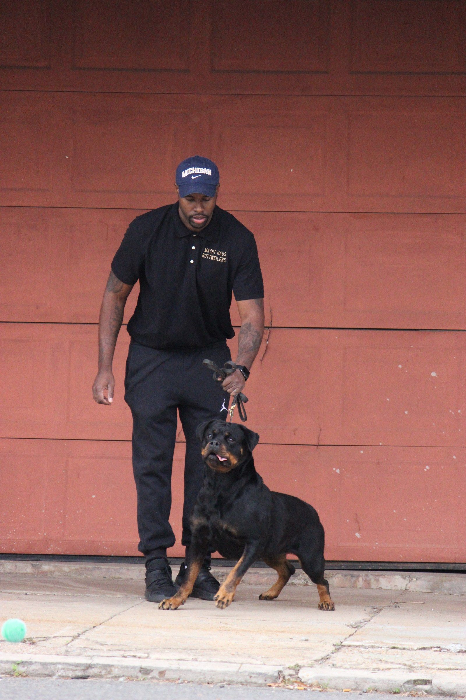Hera stepping out on lead beside her handler against a red garage door, a ball on the ground
