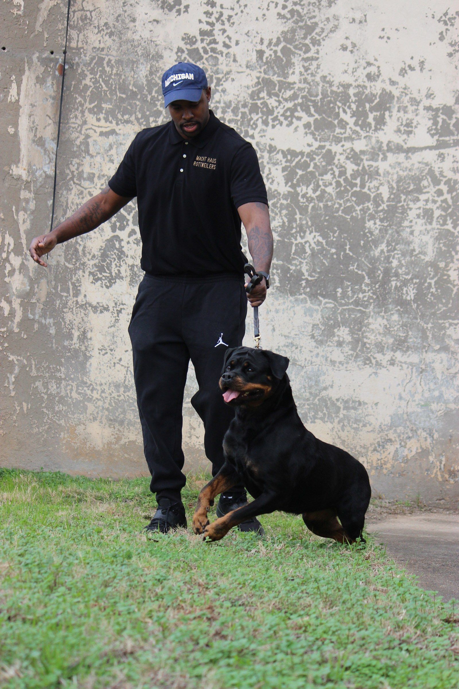 Hera driving forward on lead beside her handler in front of a weathered concrete wall