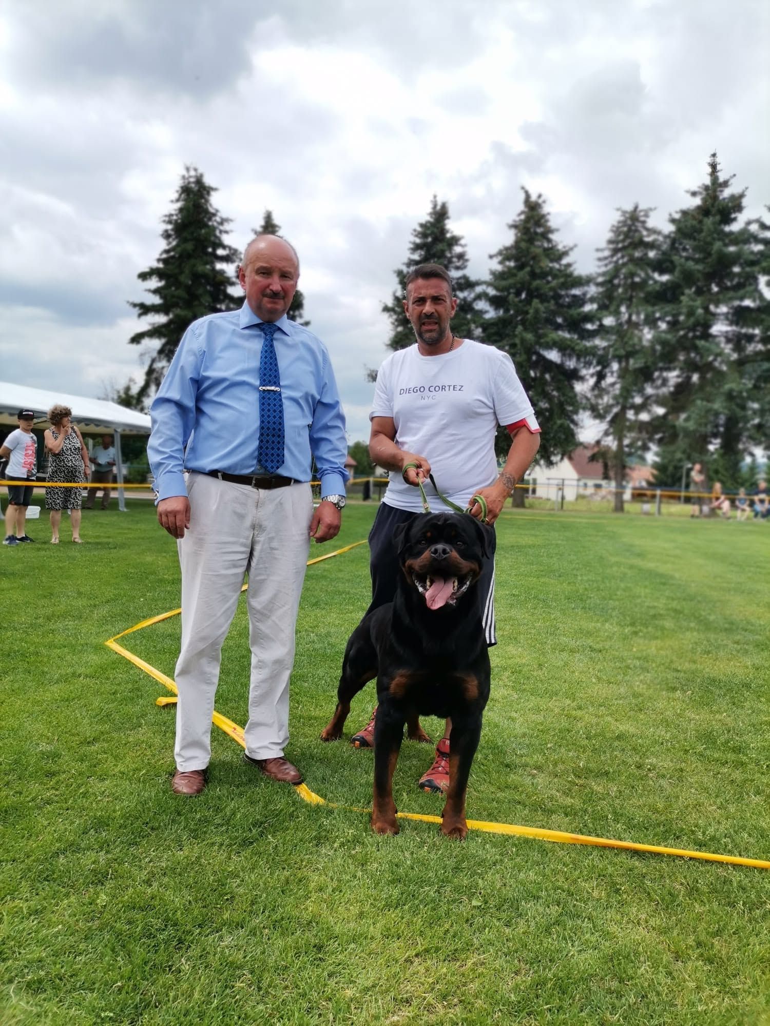 Uvo standing between his handler and the judge on a show field, tongue out