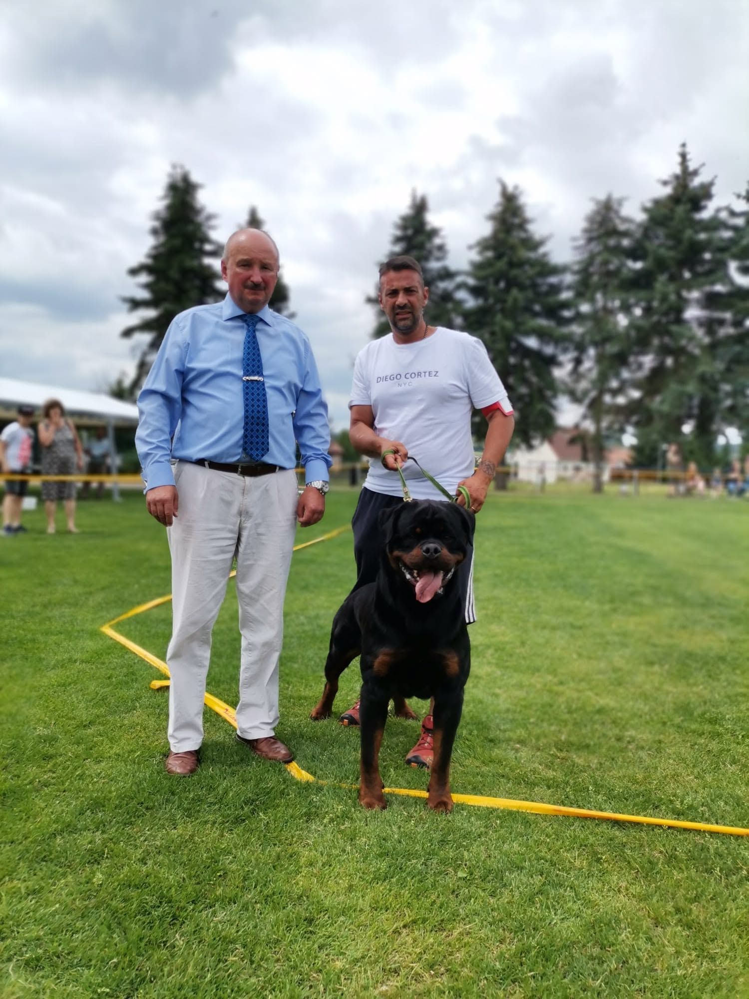 Uvo standing head-on on lead beside his handler and the judge at a European show