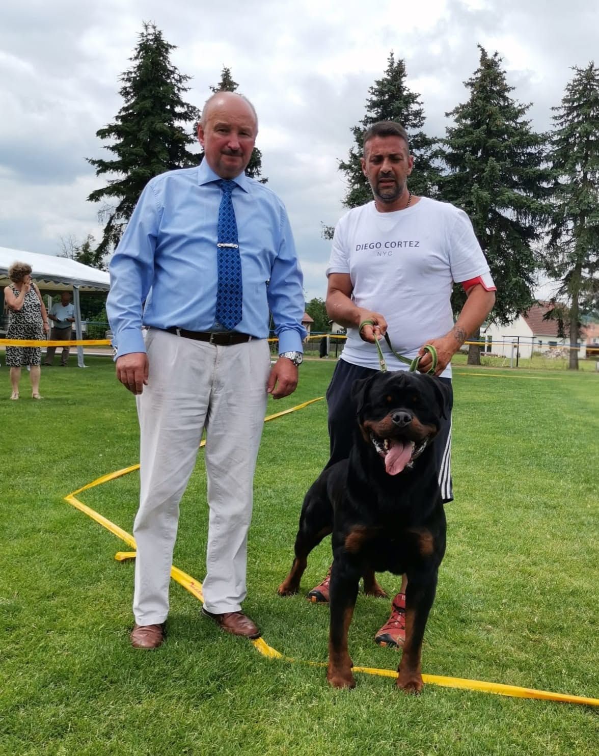 Uvo standing on lead beside his handler and the judge on a grassy show field