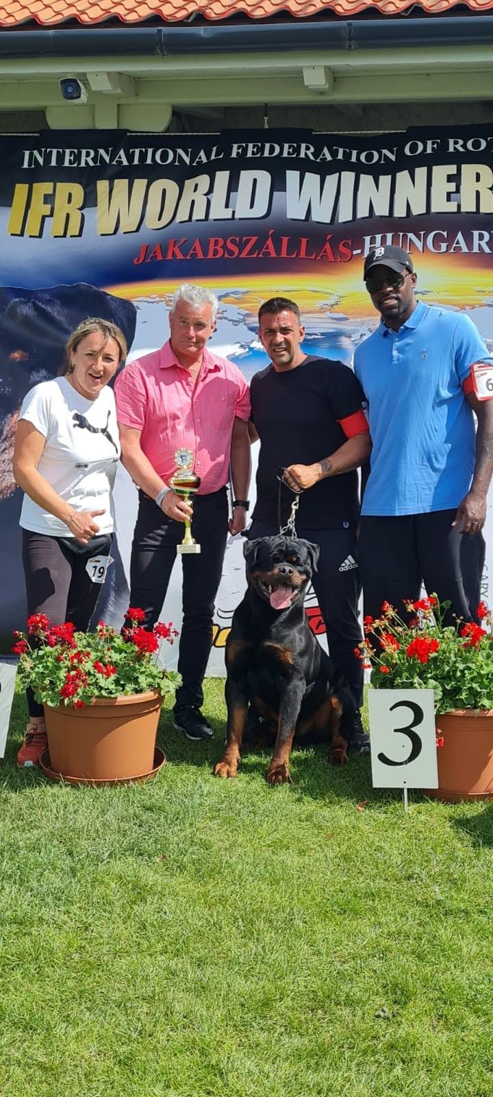 Uvo sitting with his handlers and a trophy under an IFR World Winner banner in Hungary, a third-place sign beside them